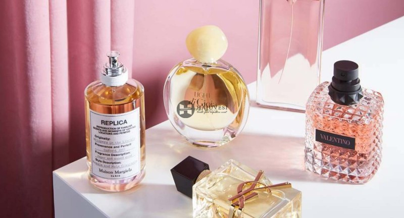 Top 7 Chai Nước Hoa Nữ Mùi Gỗ Đàn Hương Quyến Rũ, Trưởng Thành