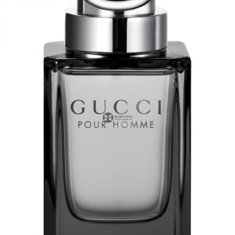 Gucci by Gucci Pour Homme